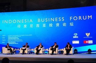 印尼论坛爆料视频大全,揭秘热点事件背后的真相